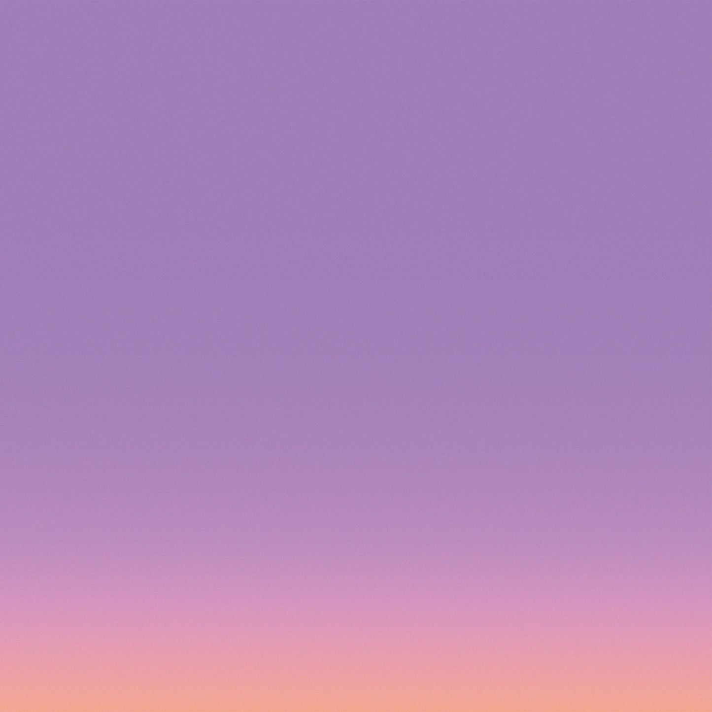 Julian Stetter - Sky Without Colours