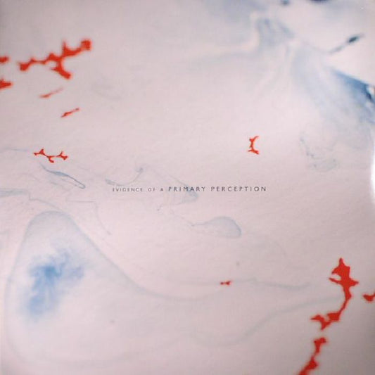 PRIMARY PERCEPTION - Evidence Of A Primary Perception