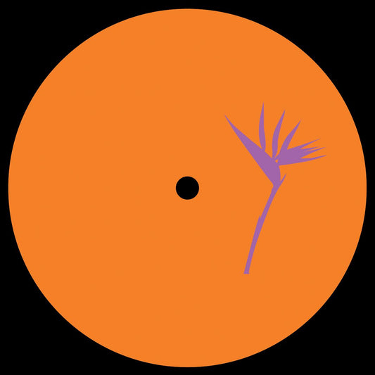 Bisharat - Perspective EP [vinyl only]