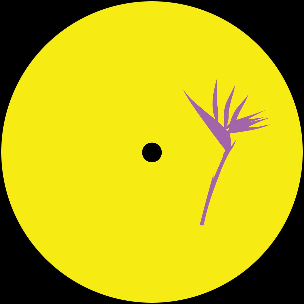 Costin Rp remix Floog - Things For The Soul EP [vinyl only]