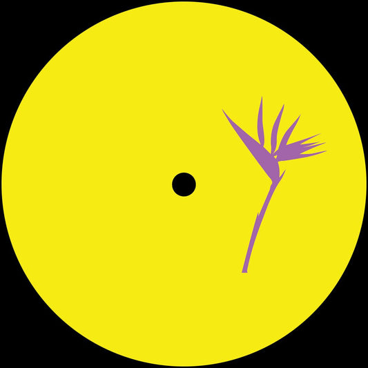 Costin Rp remix Floog - Things For The Soul EP [vinyl only]