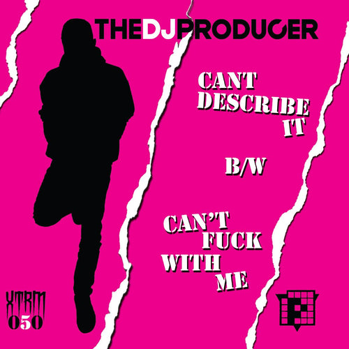 The Dj Producer - Can't Describe It Ÿ¨FinallyŸ© / Can't Fuck With Me [full colour sleeve / dl code]