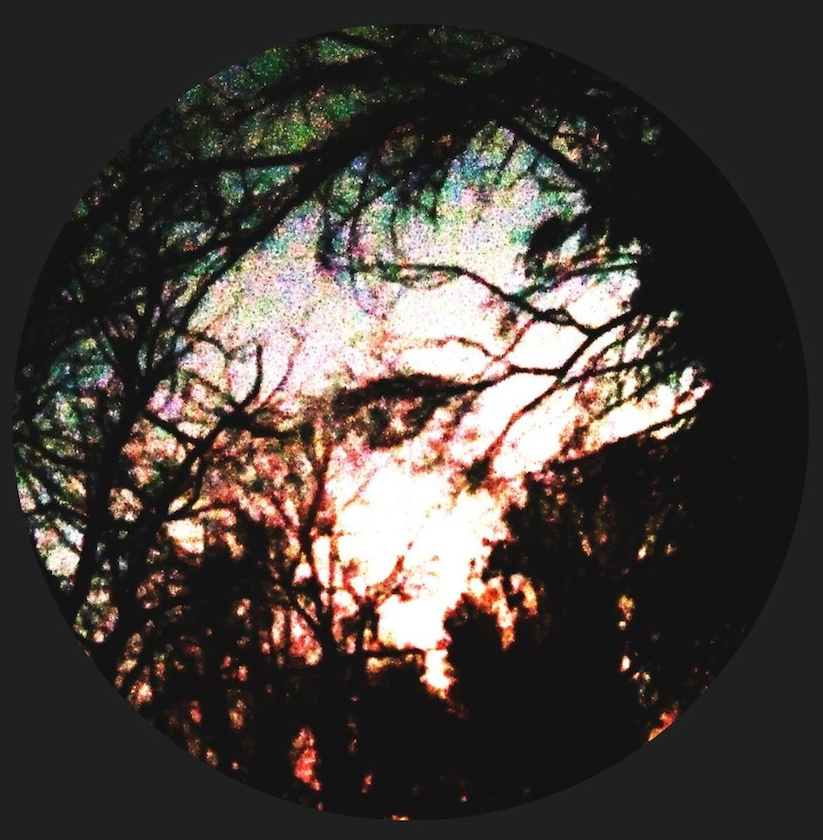 I TPAME I TVRAME - II LP