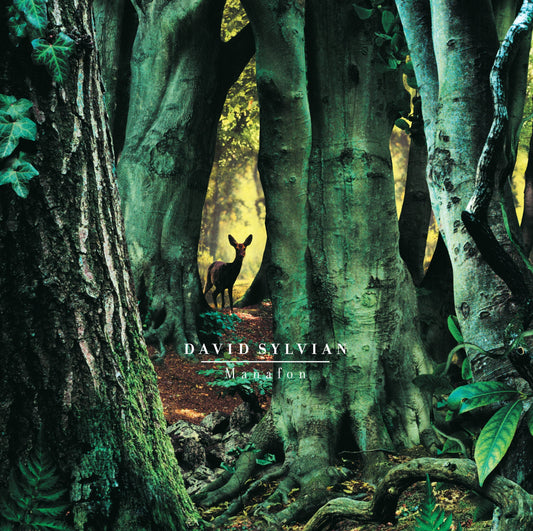 David Sylvian - Manafon [2LP]