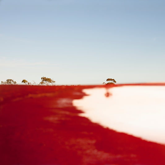 Peter Knight & Australian Art Orchestra – Crossed & Recrossed