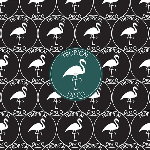 Phazed Groove / Ziggy Phunk / Kikko Esse & Emanuele Del Carmine / Vagabundo Club Social - Tropical Disco Records, Vol 19