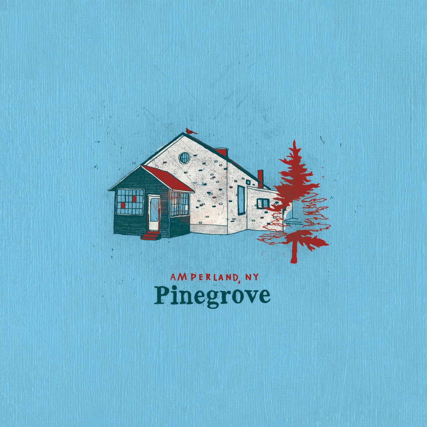 Pinegrove - Amperland, NY [2LP]
