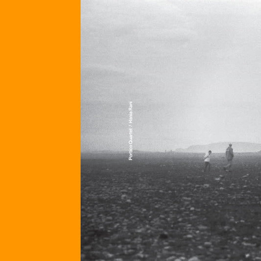 Portico Quartet & Hania Rani Portico Quartet / Hania Rani