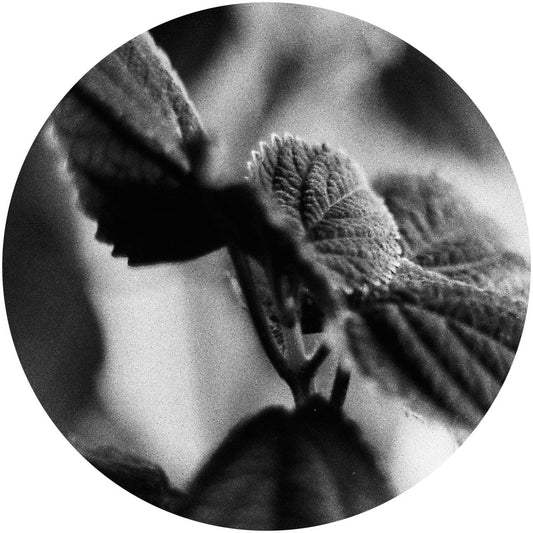 Various Artists - RC02 [180 grams]