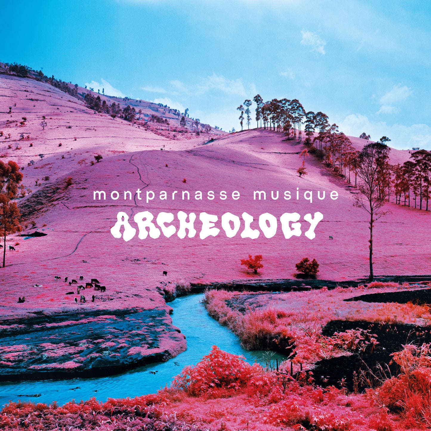MONTPARNASSE MUSIQUE – ARCHEOLOGY [LP]