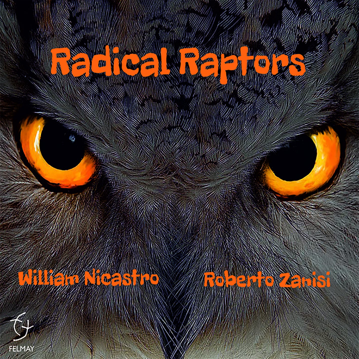 Radical Raptors - Radical Raptors