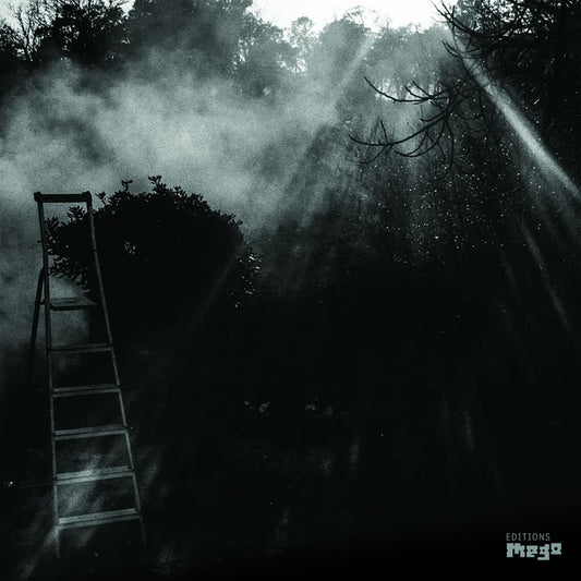 Reinhold Friedl & Eryck Abecassis - animal électrique