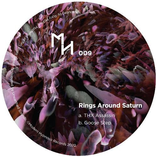Rings Around Saturn - THX Assassin / Goose Step