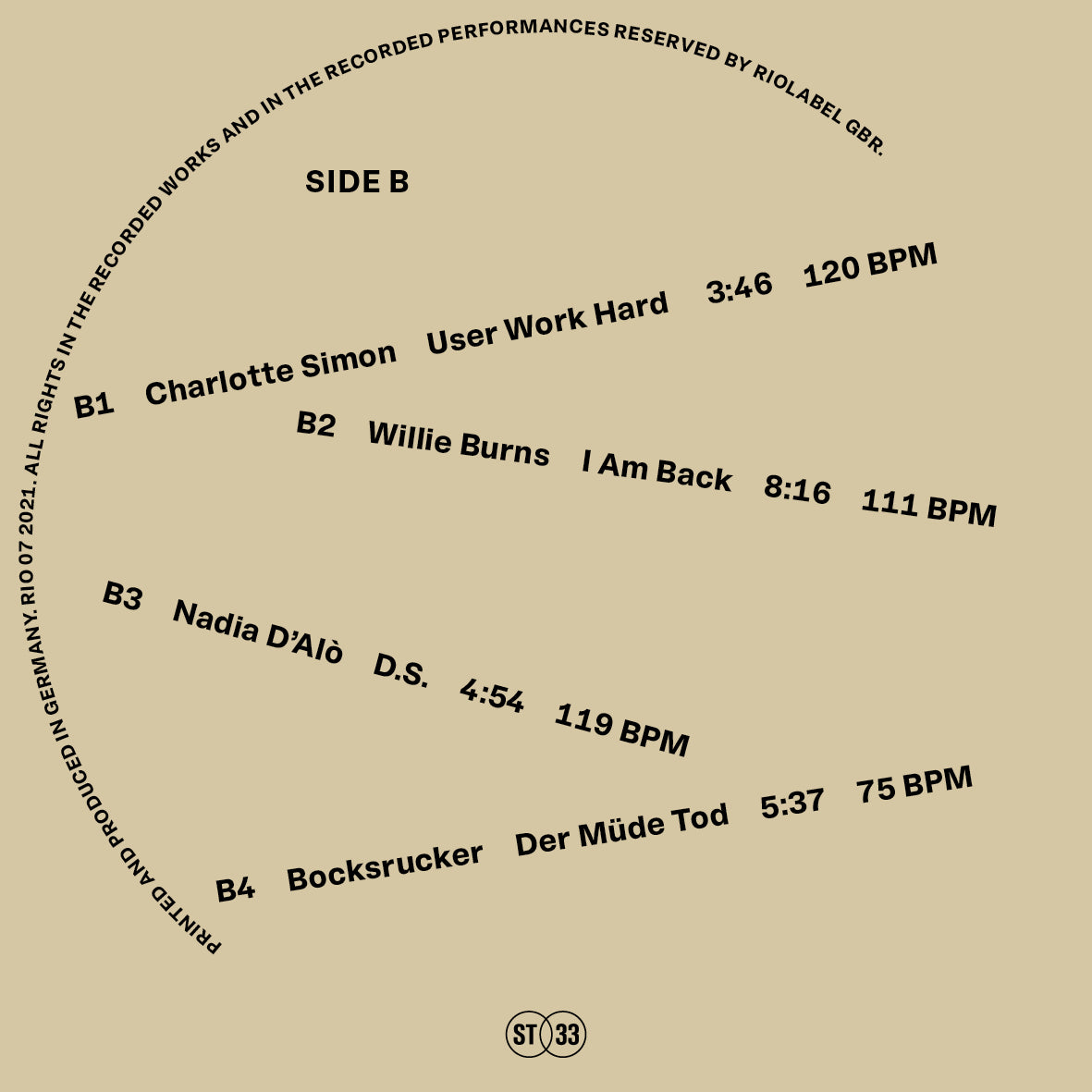 Various Artists - Risks Issues Opportunities 2