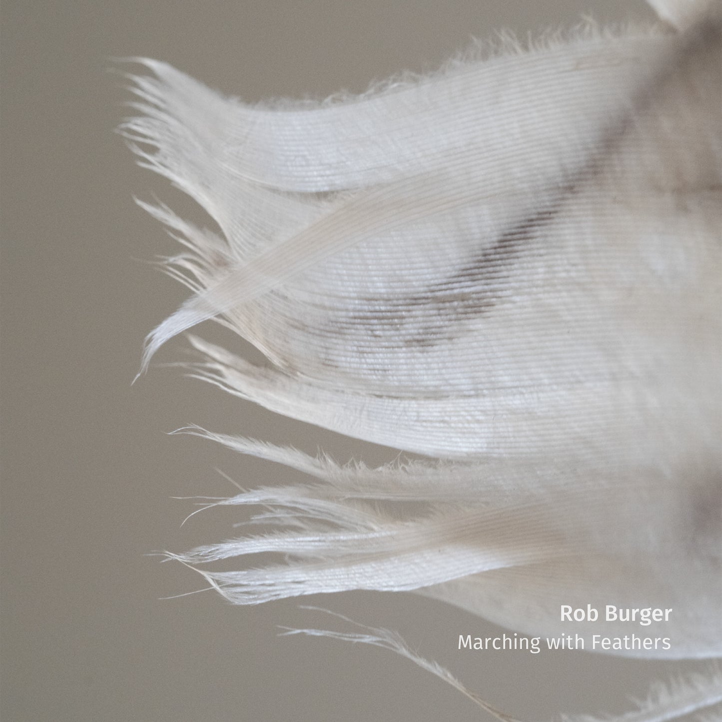Rob Burger - Marching with Feathers [LP]