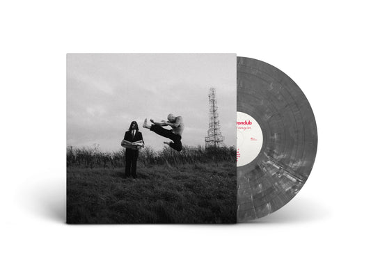 The Royston Club - Shaking Hips and Crashing Cars [Grey Marbled LP]