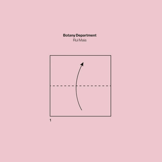 Rui MAIA - Botany Department