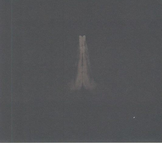 SAULT - Untitled (Rise) [CD]