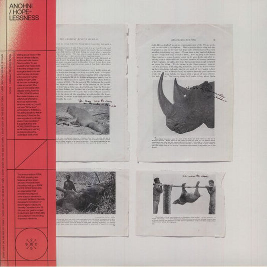 ANOHNI - HOPELESSNESS [Pink Vinyl]