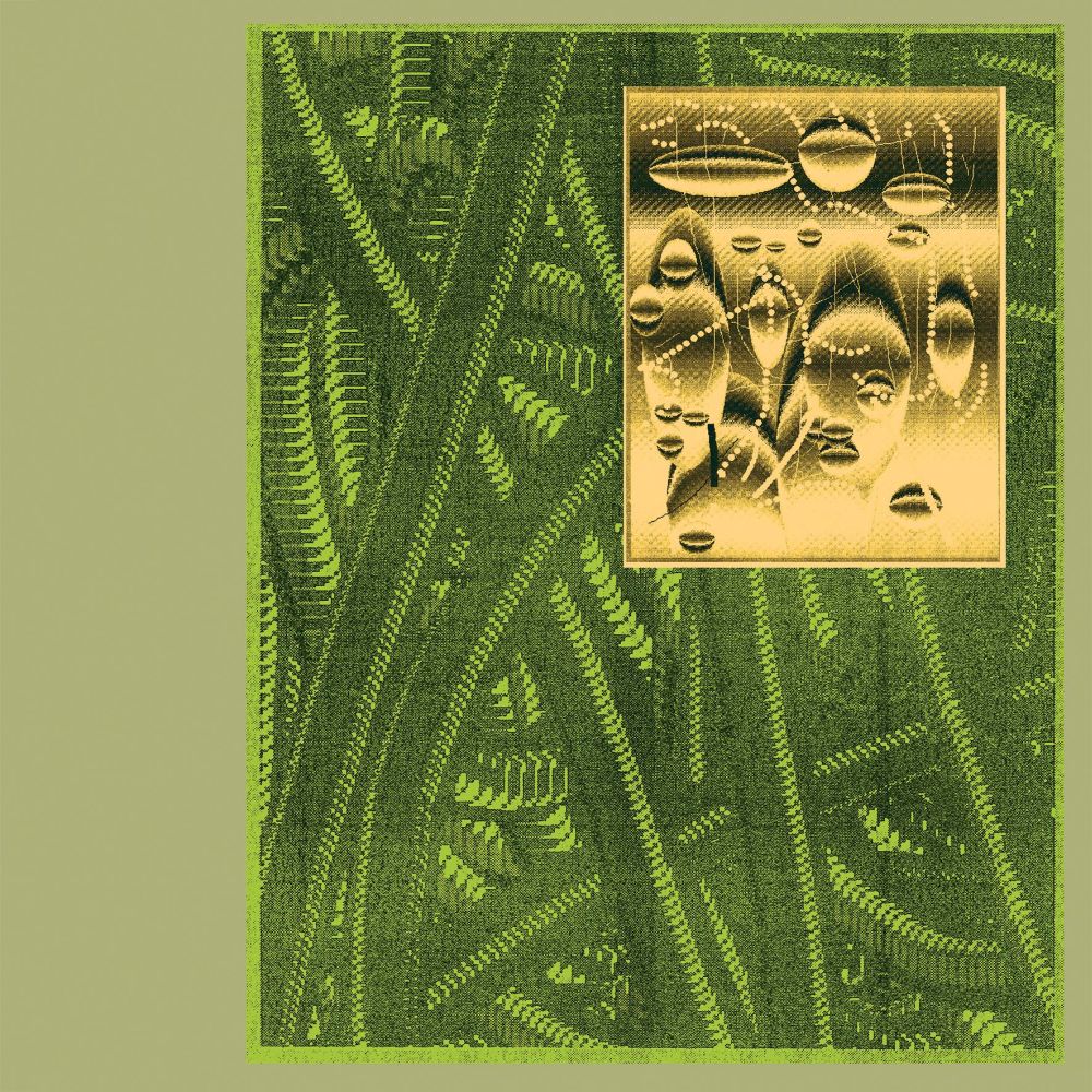 De Beren Gieren - Less Is Endless [2LP]