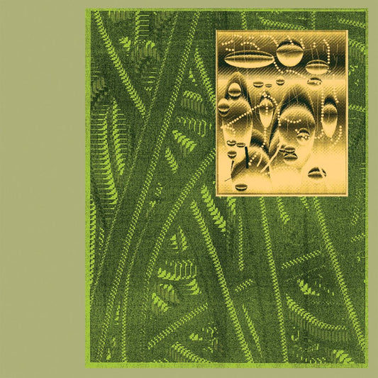 De Beren Gieren - Less Is Endless [2LP]