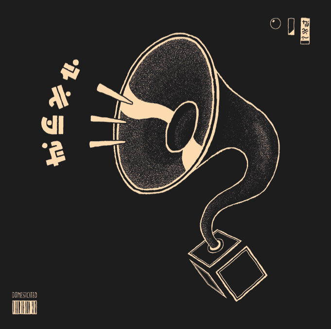 Asper Bothrops - Domesticated