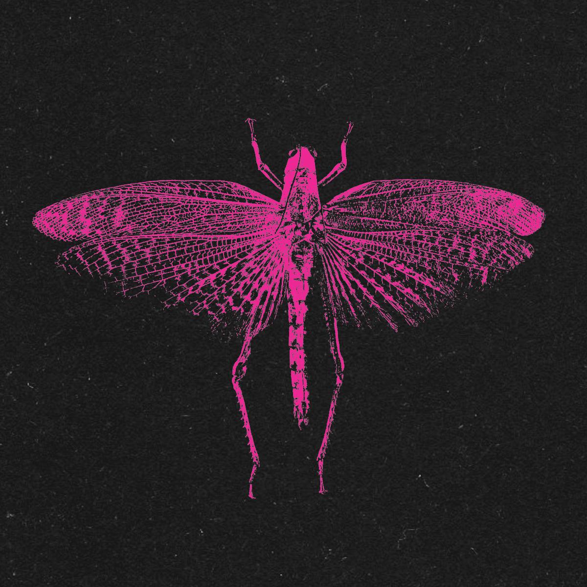 SHXCXCHCXSH - VOOO EP [full colour sleeve]