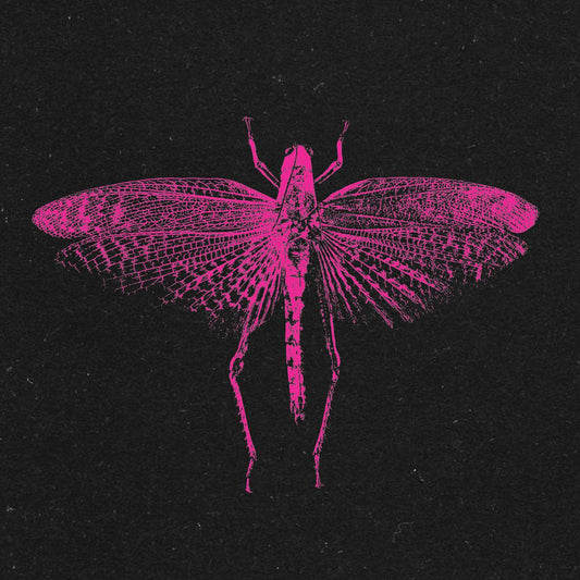 SHXCXCHCXSH - VOOO EP [full colour sleeve]