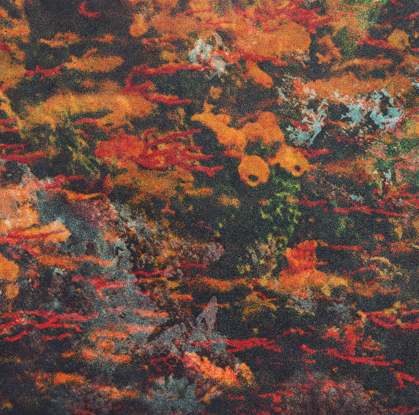 Deep Nalström - Naissance Aux Mondes Invisibles