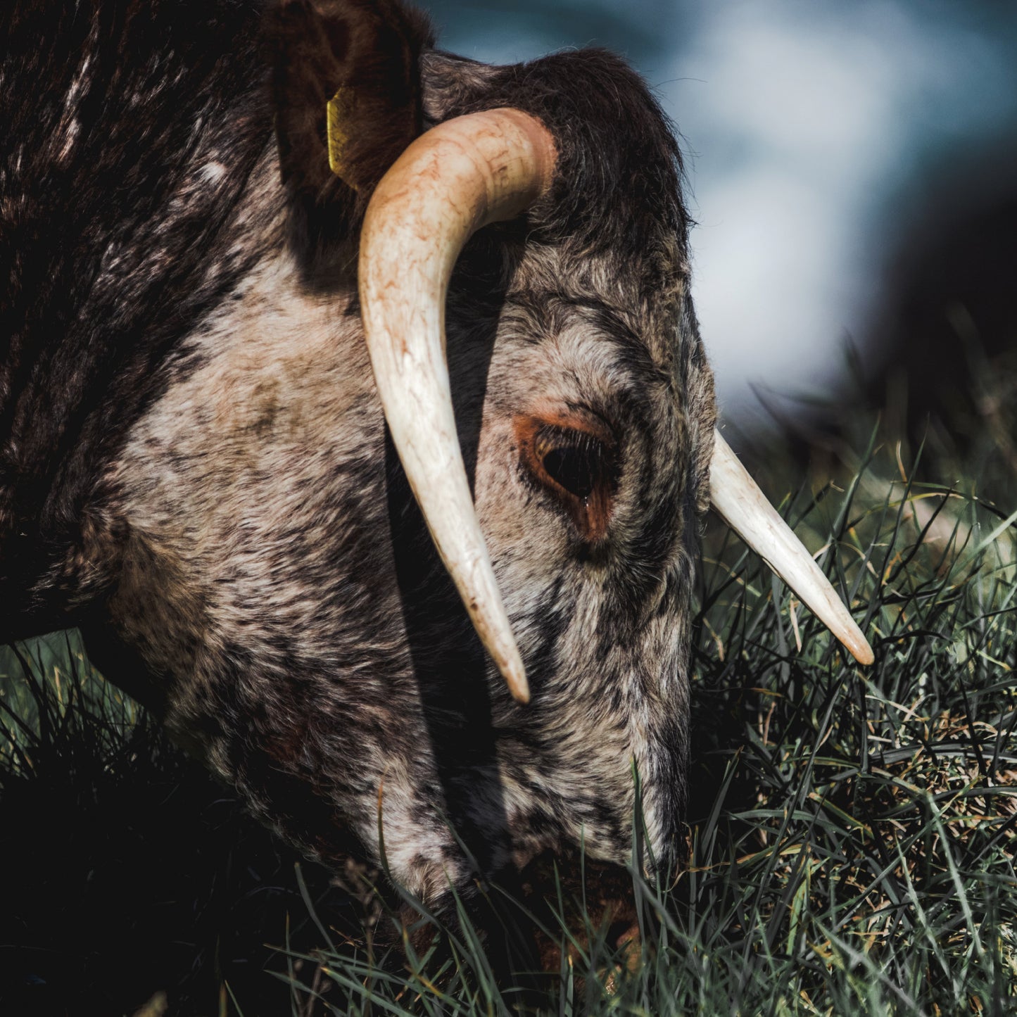 SLOW WHITE FALL - Pushing Through A Wall