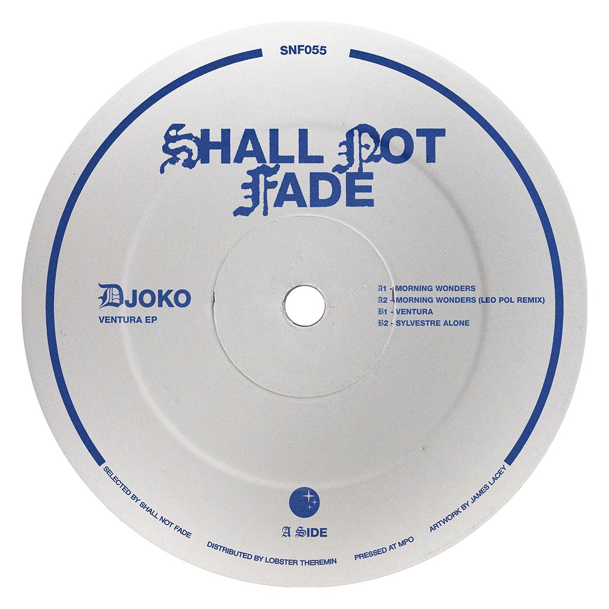 DJOKO remix Leo Pol - Ventura [full colour sleeve]