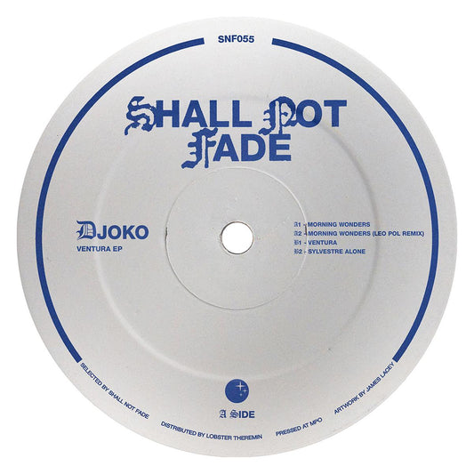DJOKO remix Leo Pol - Ventura [full colour sleeve]