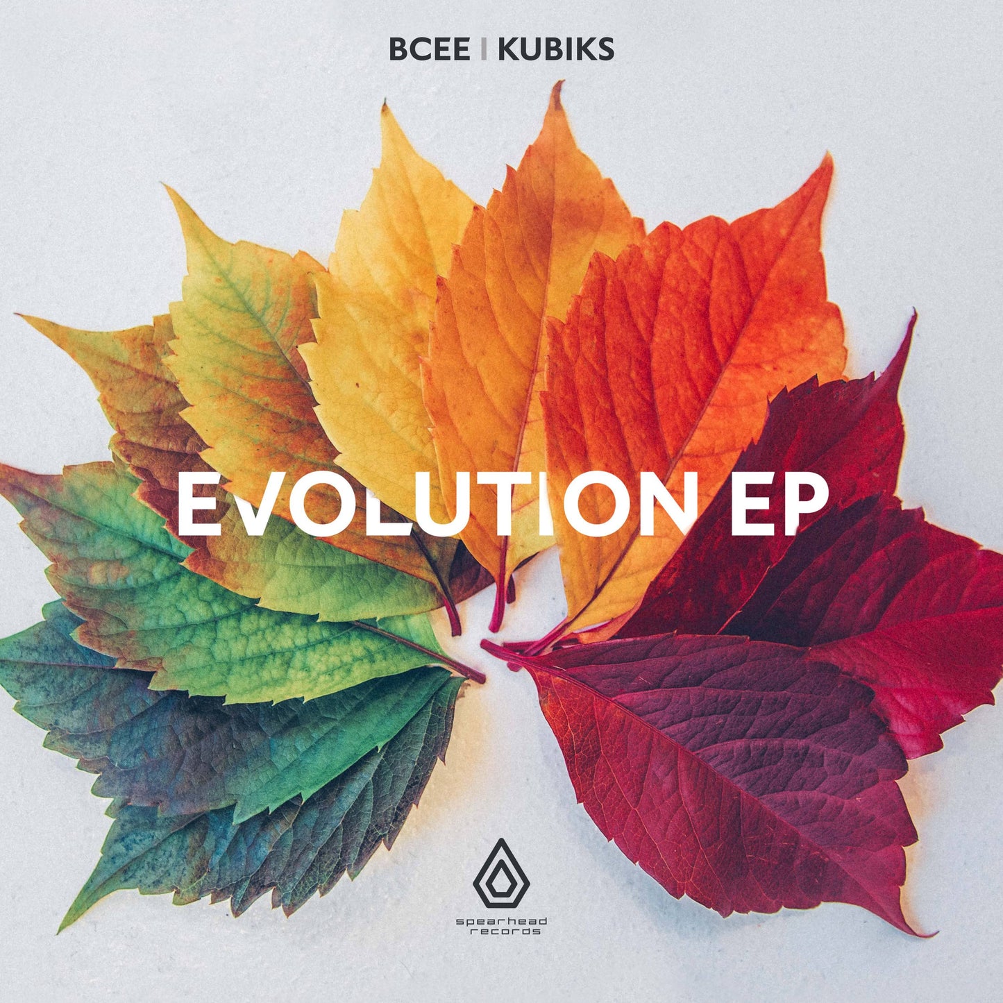 BCee & Kubiks - The Evolution EP