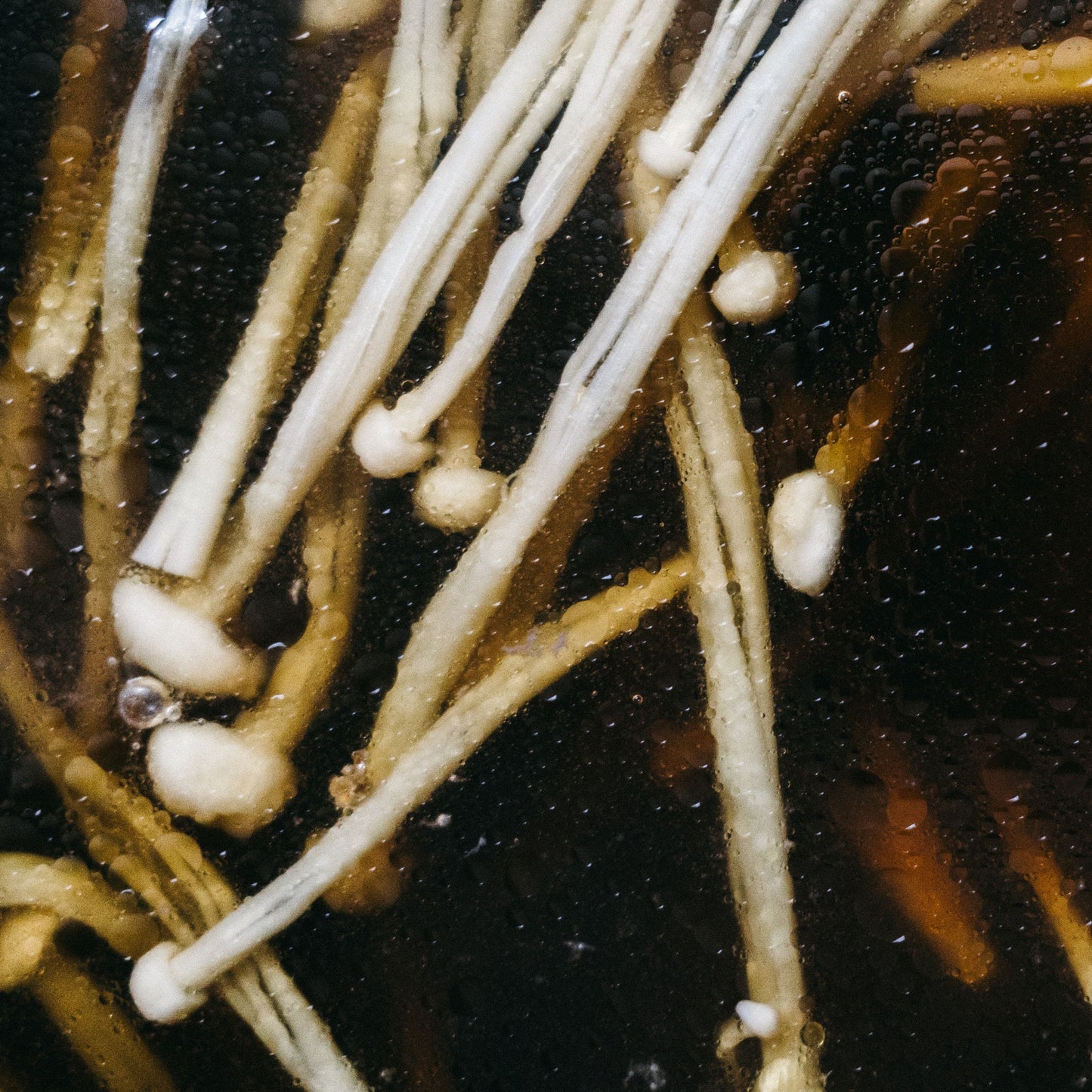 Matthias Lindermayr - Triptych [CD]