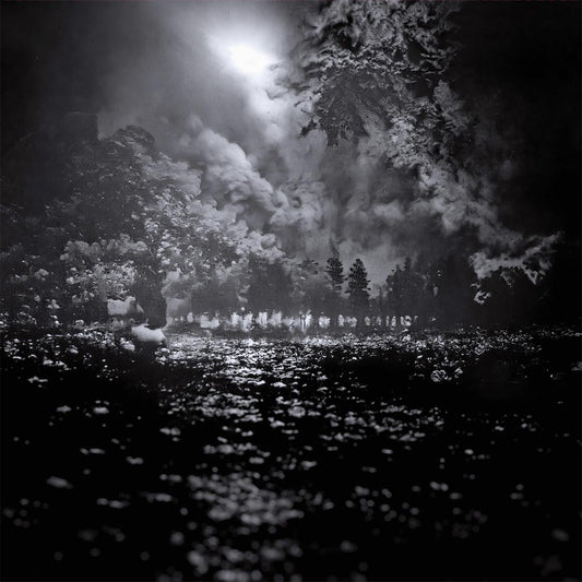 New Gods - Rite Of Passage [printed sleeve / vinyl only]