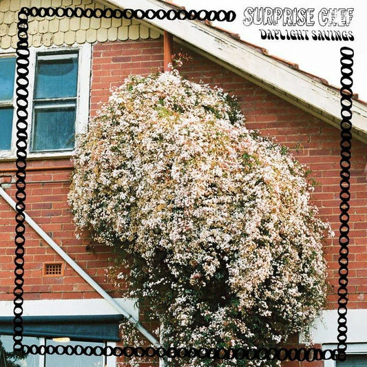 SURPRISE CHEF - DAYLIGHT SAVINGS [CD]