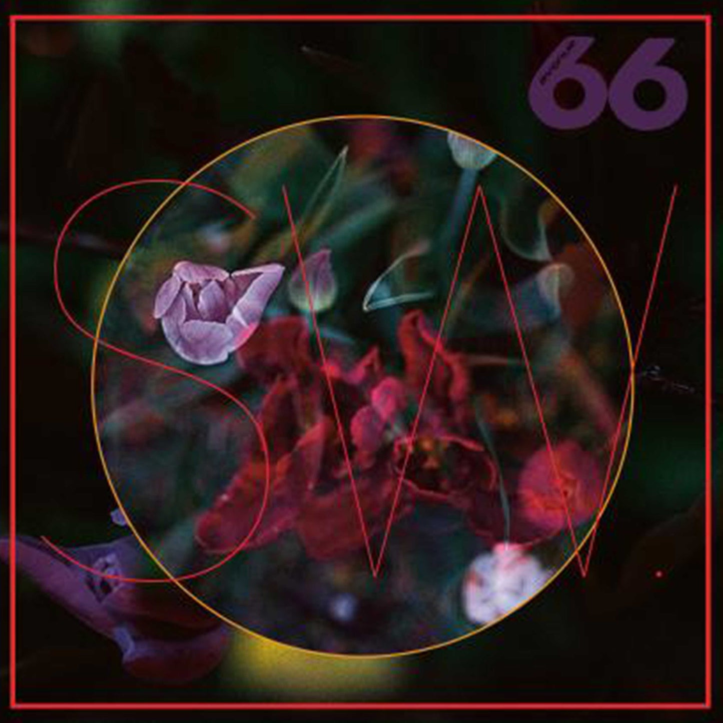 SW - Truelips [2x12" Vinyl LP]