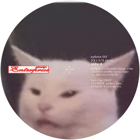 Syberian98 - Hidden Pleasure