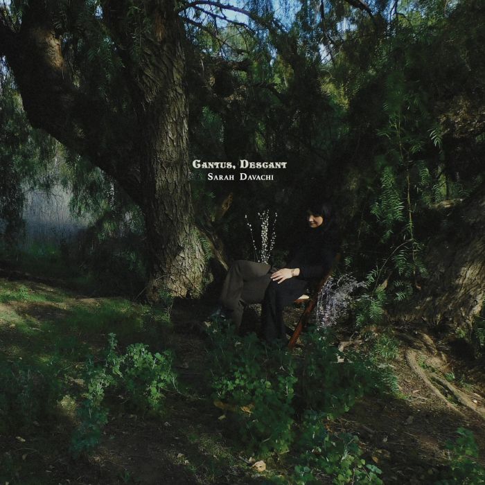 Sarah Davachi - Cantus, Descant [Clear Vinyl]