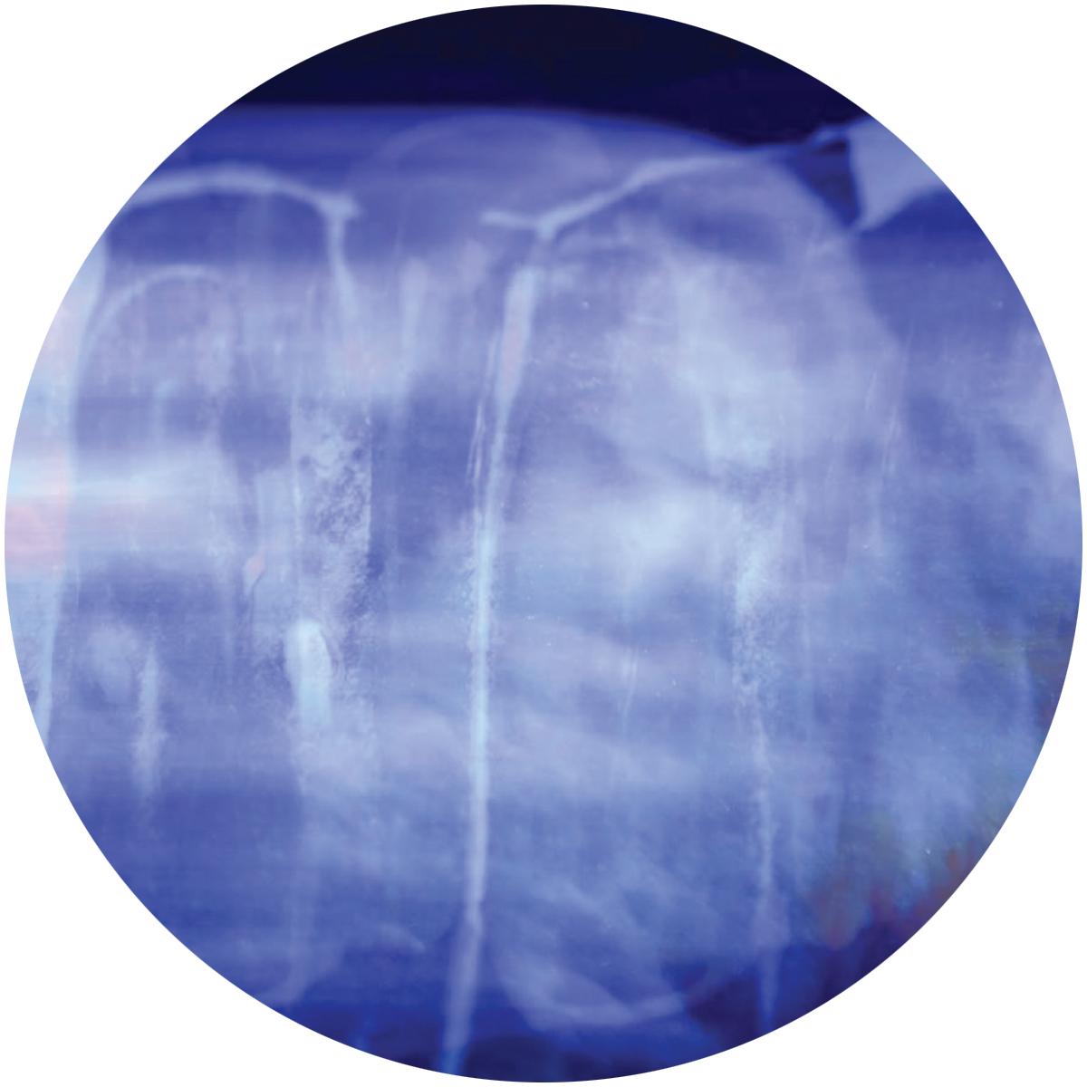 Setaoc Mass - Fortnight EP