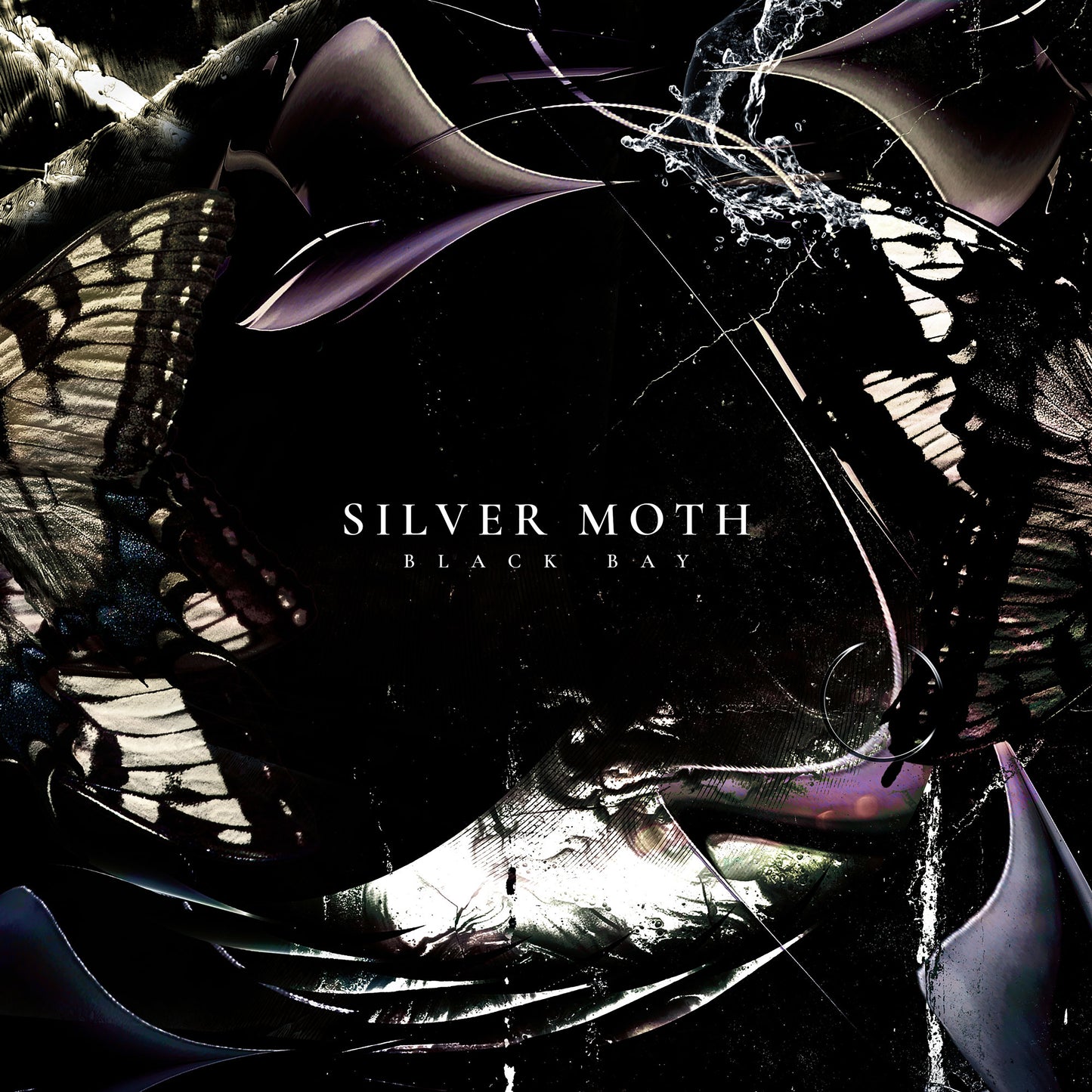 Silver Moth - Black Bay [CD]