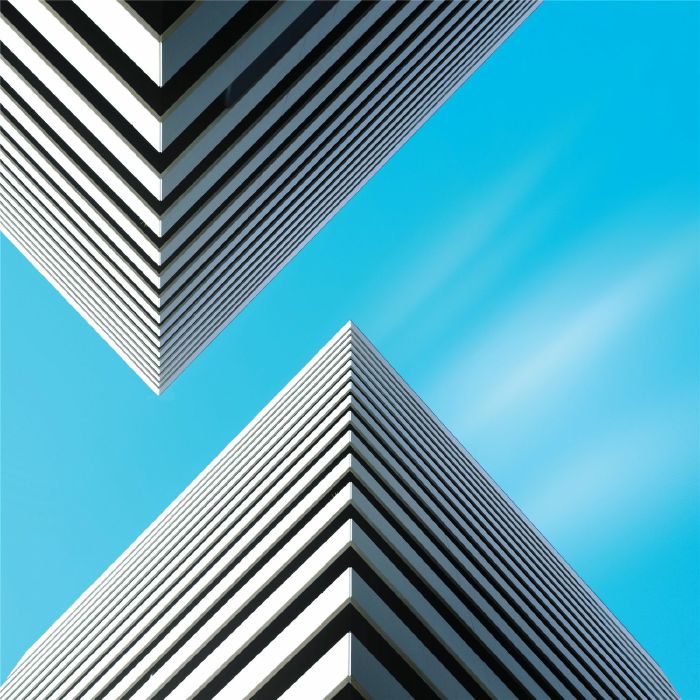 Snow Palms - Land Waves [LP]
