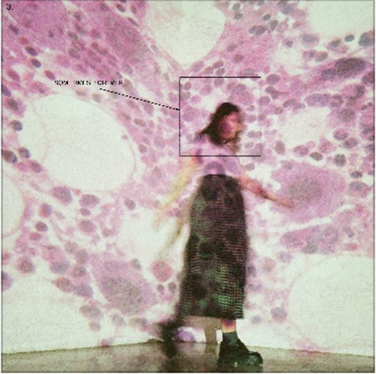 SOCCER MOMMY - SOMETIMES, FOREVER [LP]