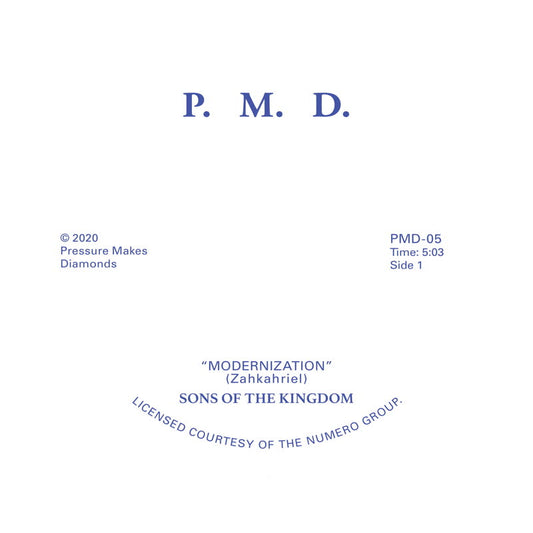 Sons Of The Kingdom - Hey There / Modernization