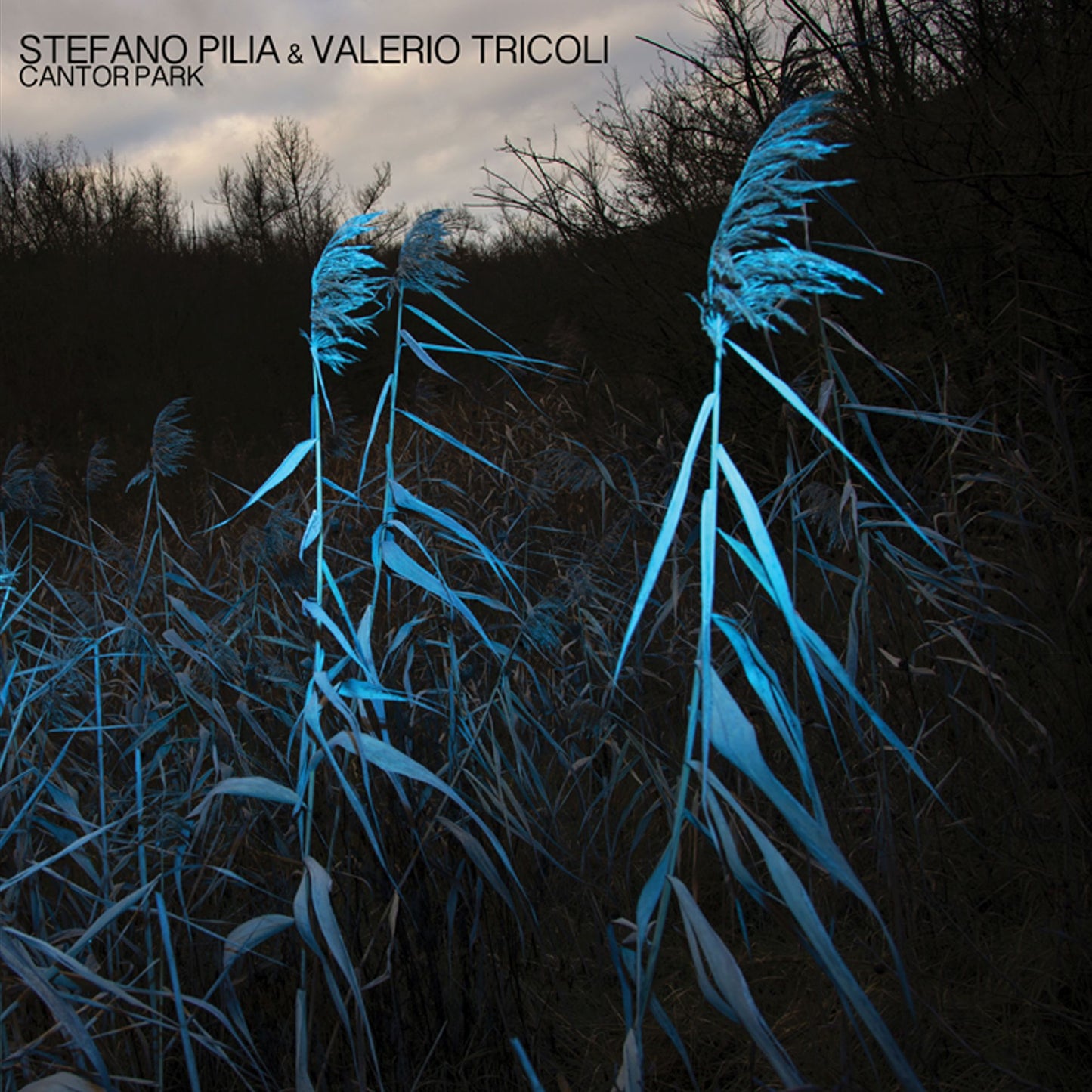 Stefano Pilia & Valerio Tricoli – Cantor Park [LP]