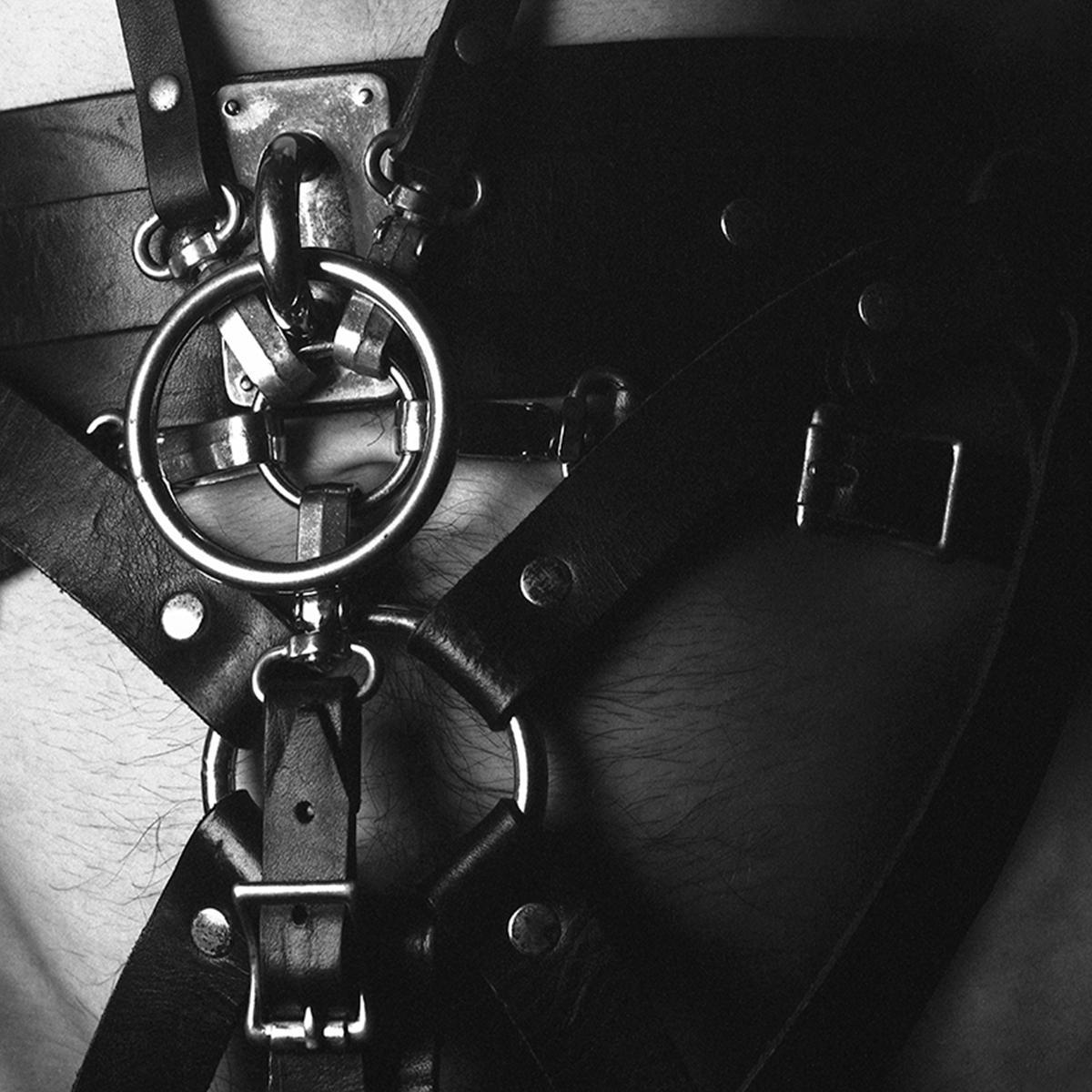 Stephno - Steel [printed sleeve / incl picture & steel insert]