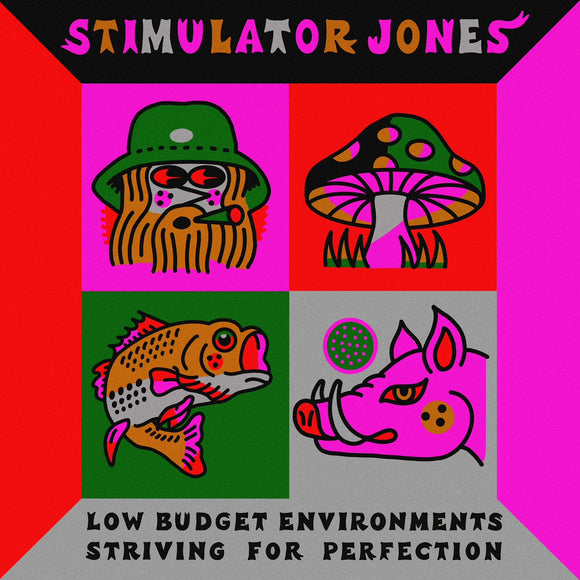 Stimulator Jones - Low Budget Environments Striving For Perfection (1 per person)