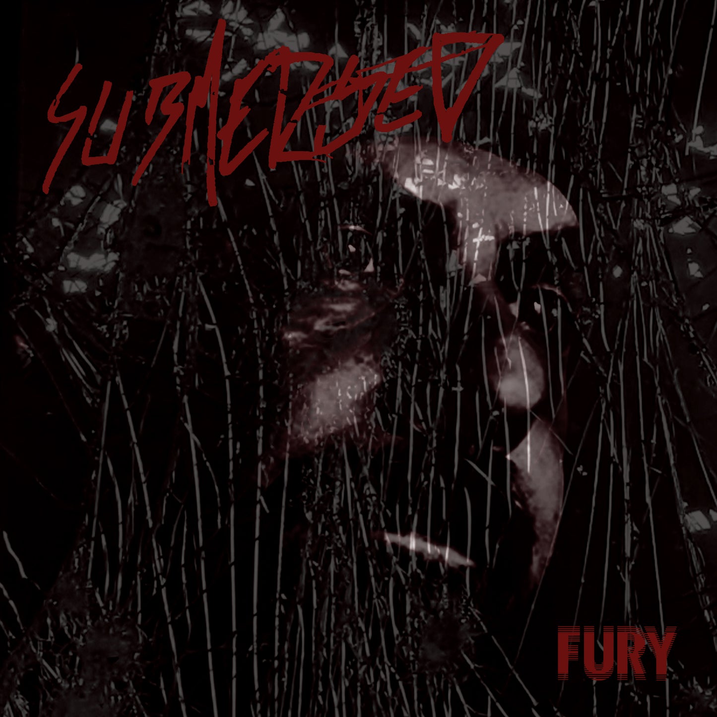 Submerged - FURY [2CD]