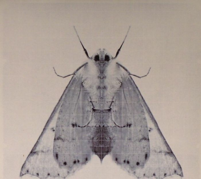 Synth Sense - Perfect Symmetry