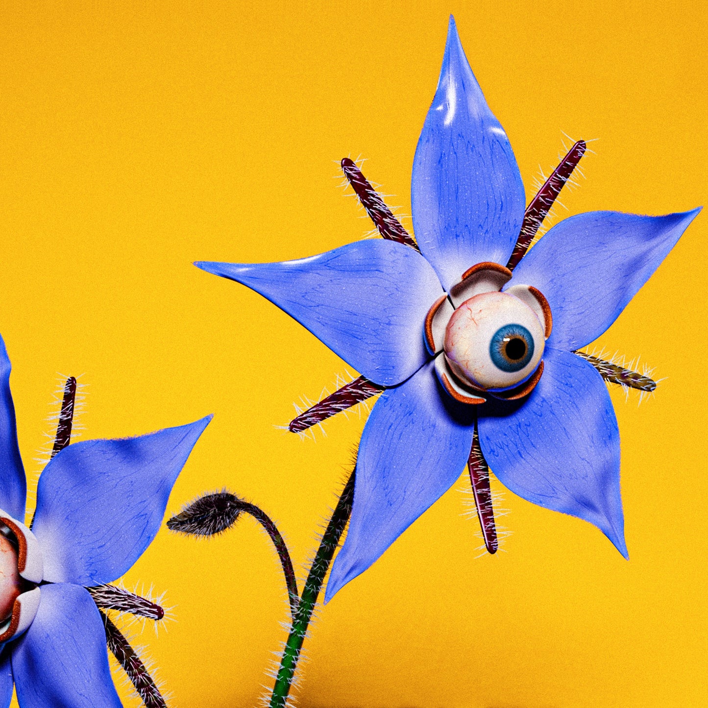 Barry Can’t Swim - More Content